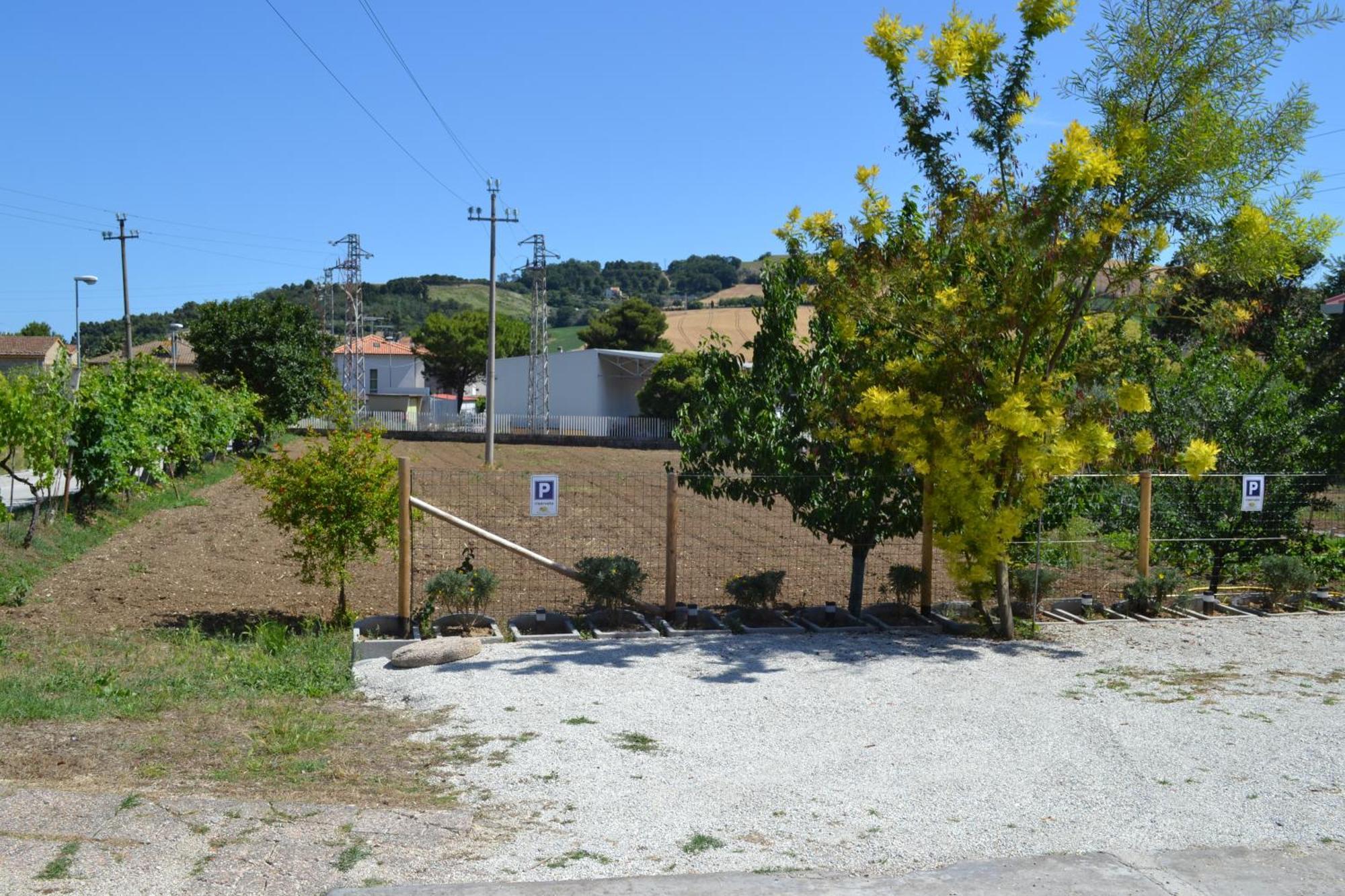 Casa Degli Ulivi - Apartment B بورتو سان جورجيو المظهر الخارجي الصورة